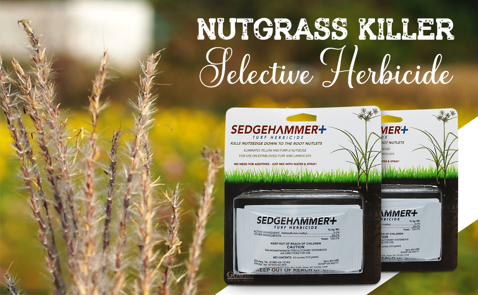 Turf Herbicide SEDGEHAMMERKills Nutsedge Down to The Root