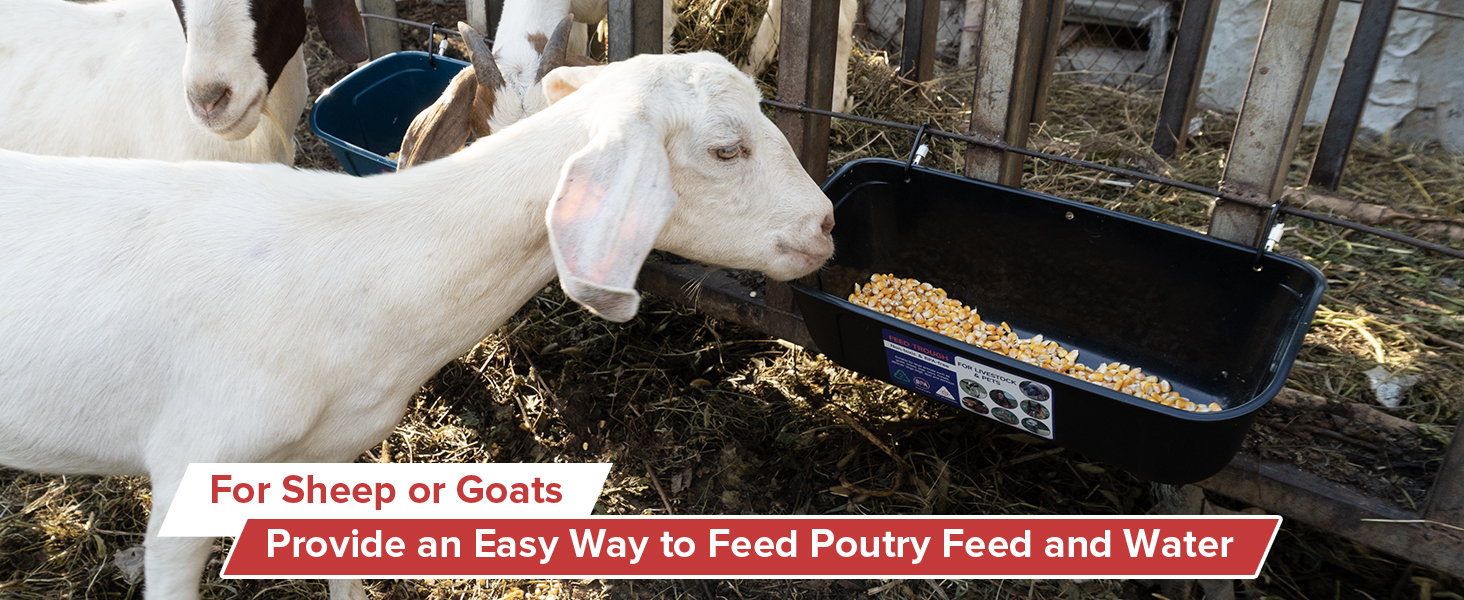 goat hay feeder
