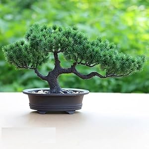 花入盆　松翠造　木箱入 花入盆松翠造木箱入