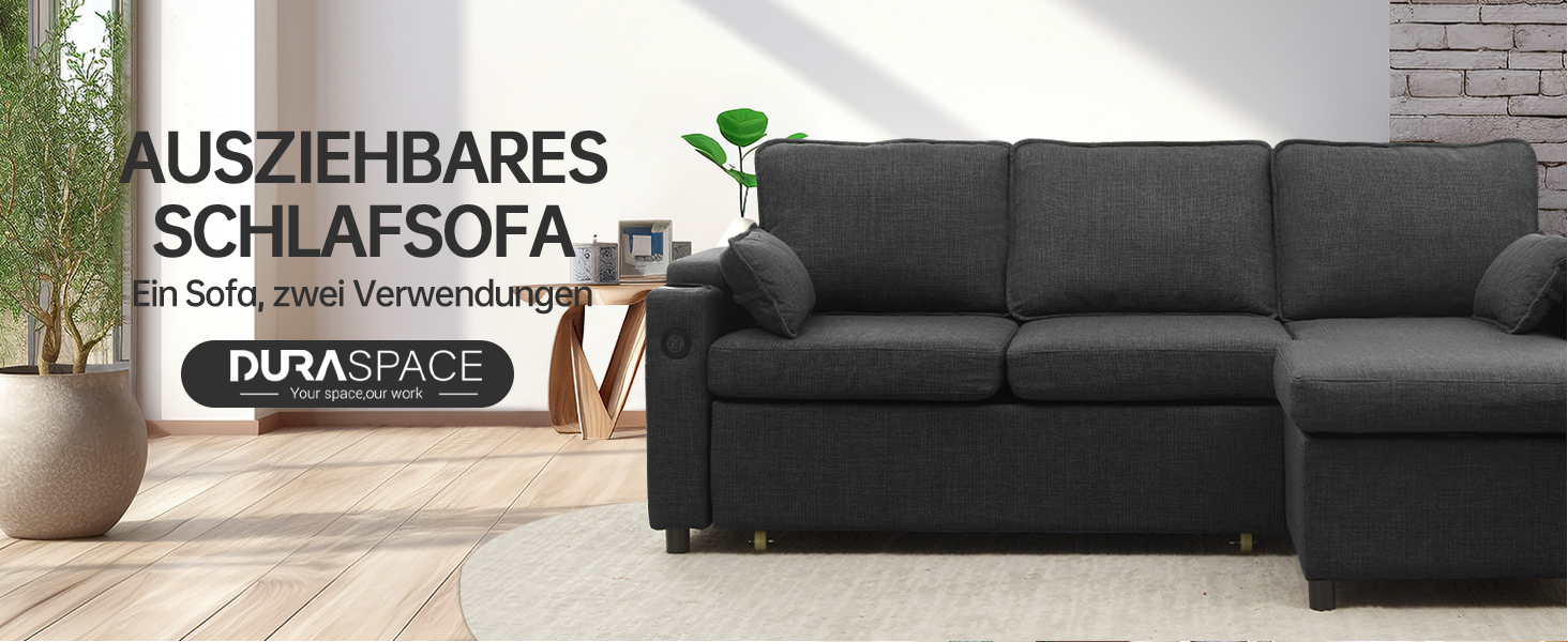 Duraspace sofa bed