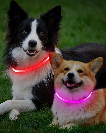 led Dog Collar for Dog