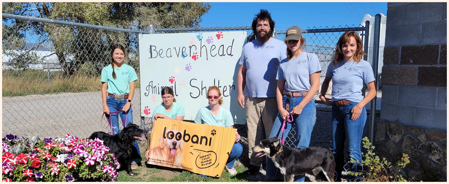 dog sling for large dogs