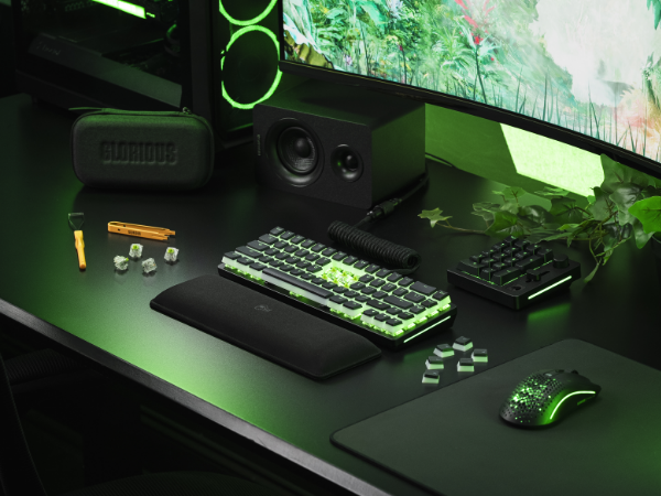 mechanical switches, clicky switches, gaming keyboard, custom keyboard, hotswap keyboard 