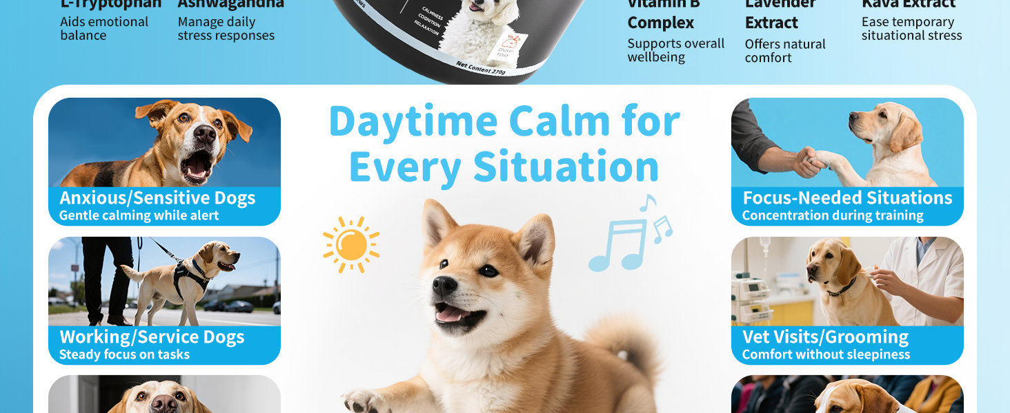 calming chews for dogs