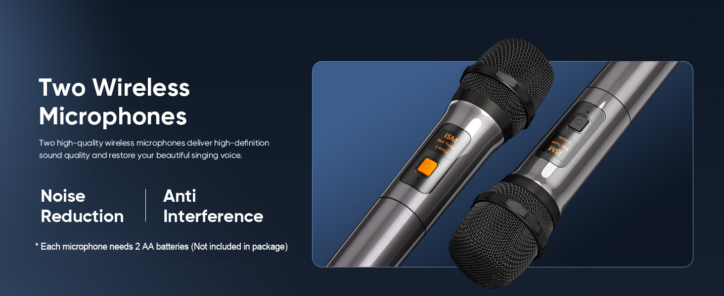 2 WIRELESS MICROPHONES