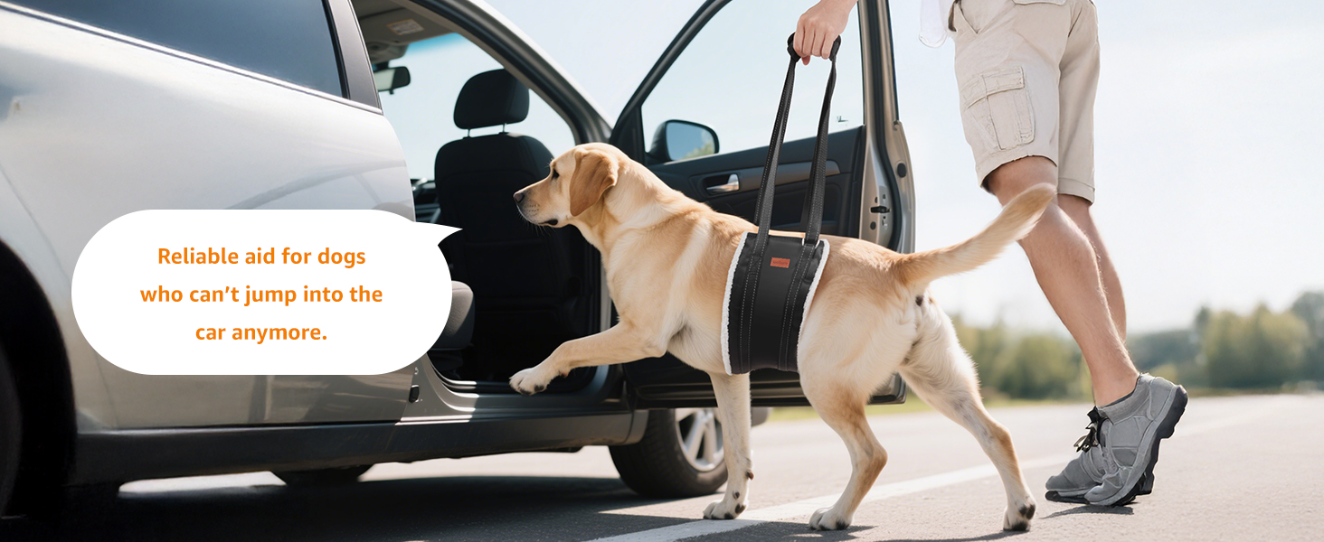 dog lift harness for large dogs