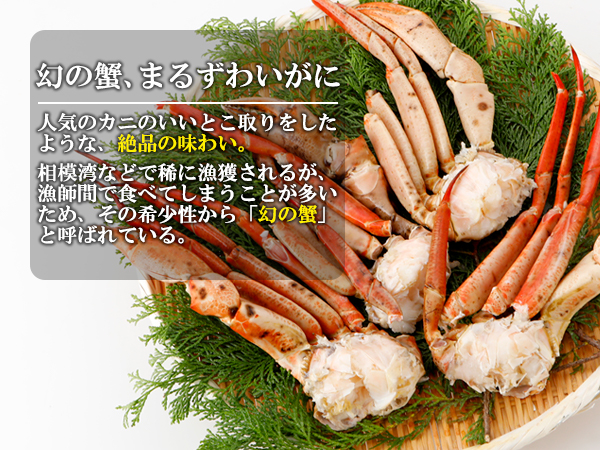 Amazon | カニパラダイス まるずわいがに 肩付脚 1kg(総重量1.25