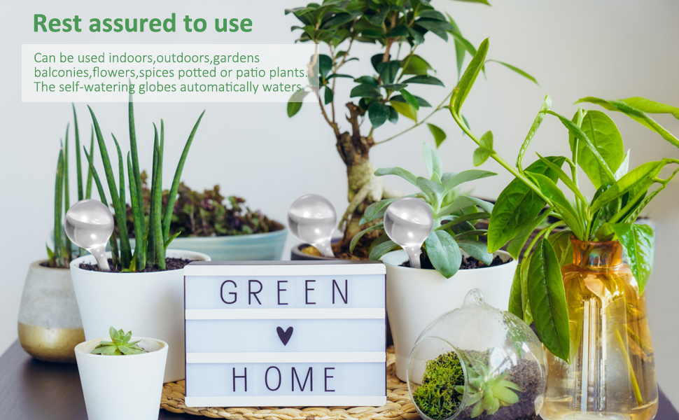 plant watering devices