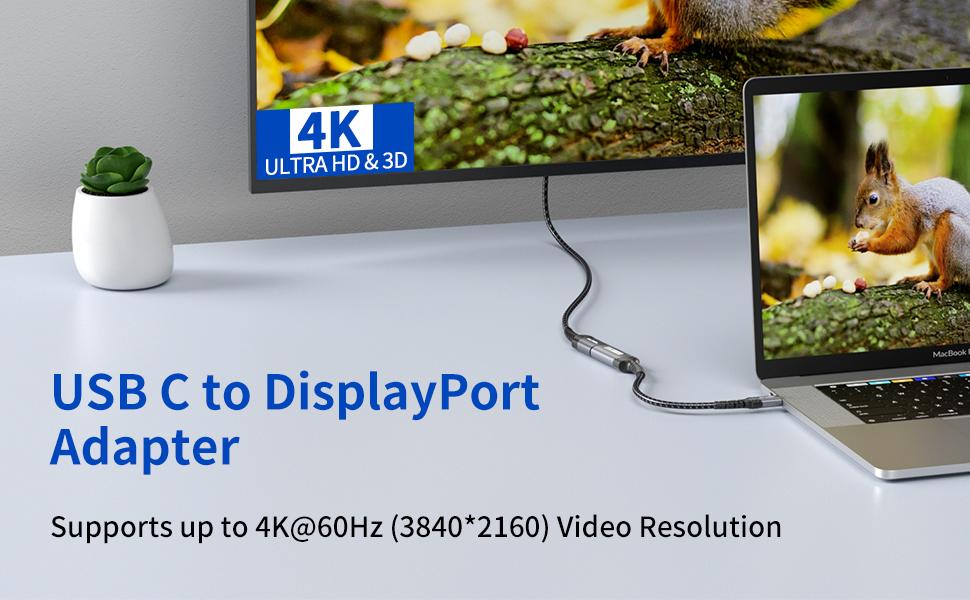 JSAUX USB C auf DisplayPort Adapter 4K60Hz, USB C zu DisplayPort Kabel