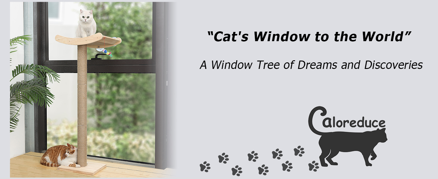 Caloreduce cat window perch for indoor cat