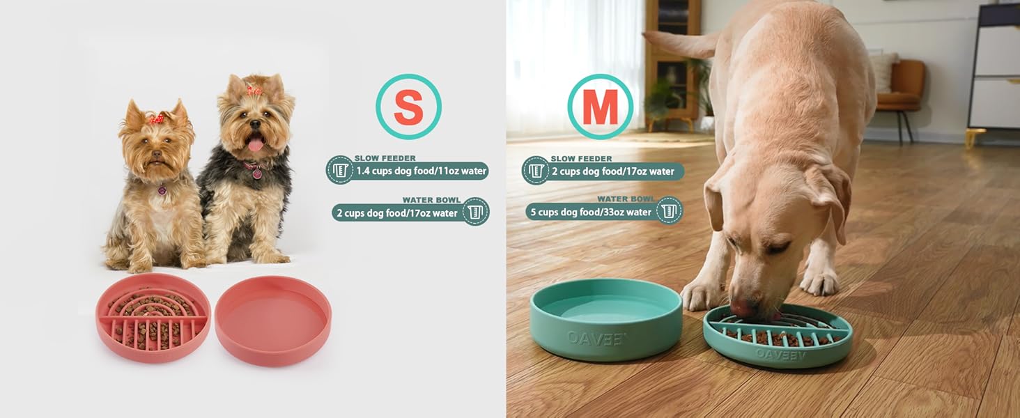DEMENSION OF SMALL DOG BOWL SET