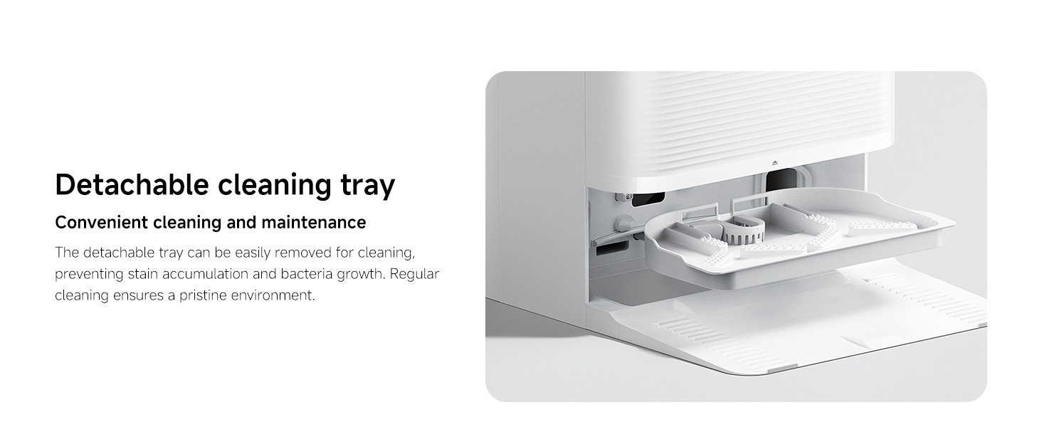 Detachable cleaning tray