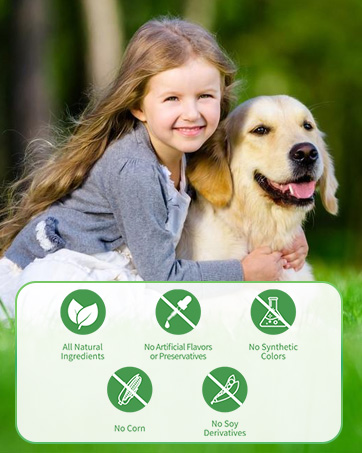 dog flea and tick treatment