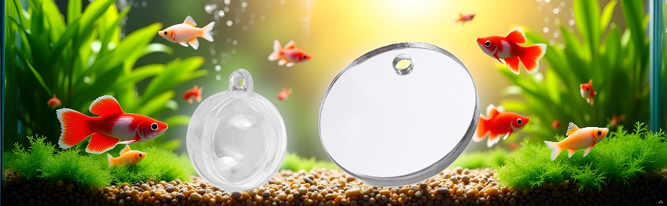 A tranquil aquarium scene with a vibrant betta fish swimming near a mirrored surface, creating a cap