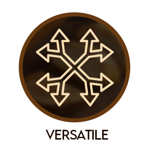 VERSATILE