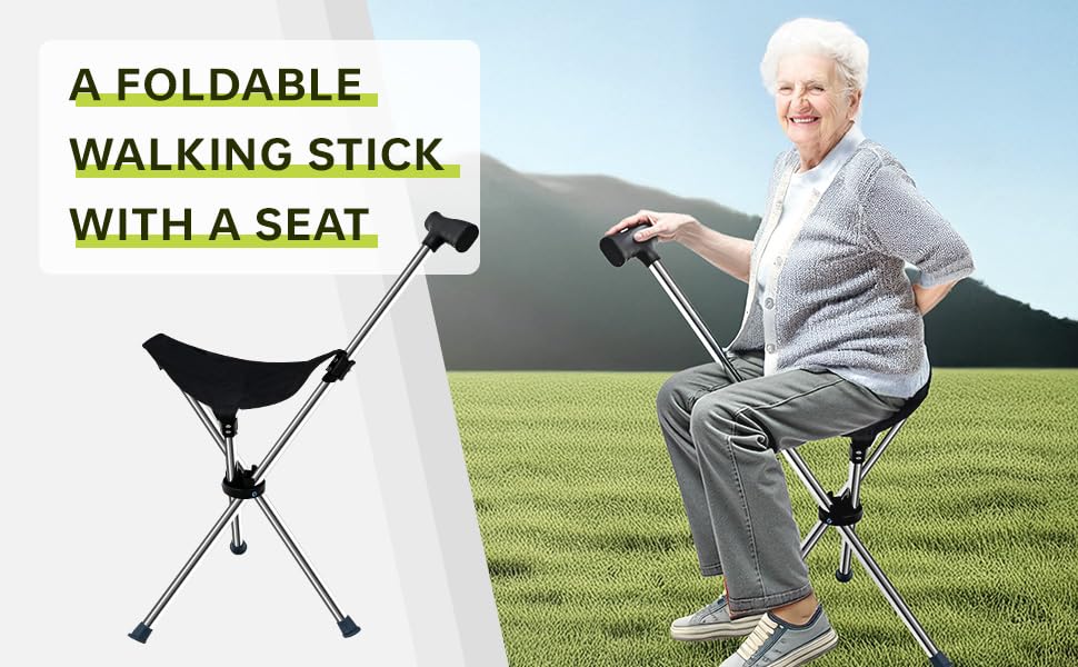 Hiking Stick