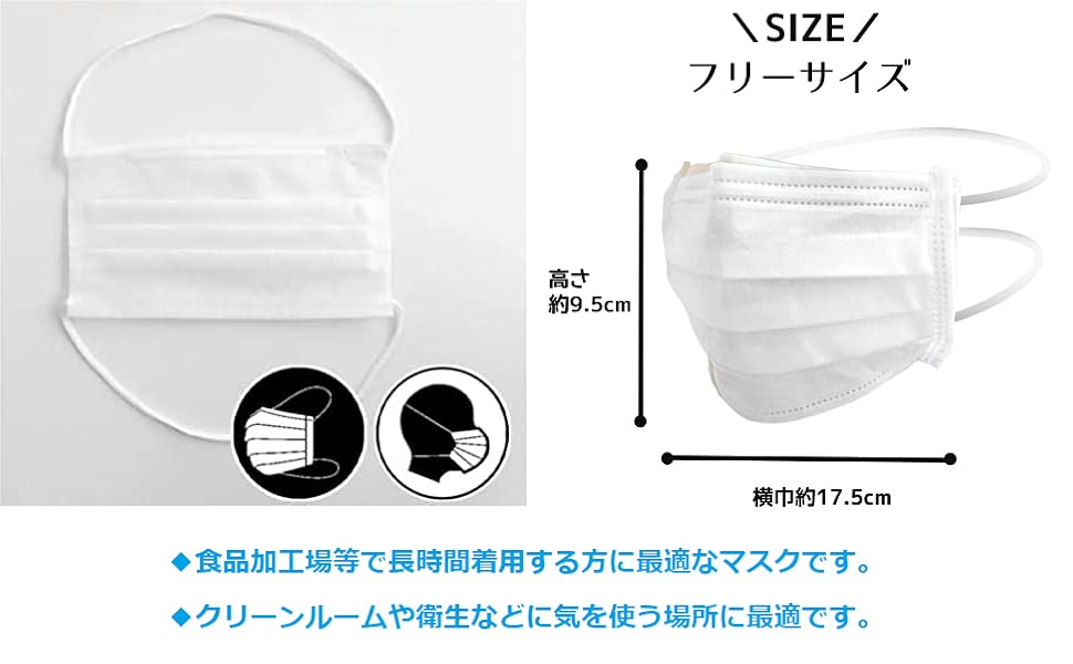 壁掛け マスク２種 クリーンマスク K－202H 耳掛けタイプ 2ply ホワイト