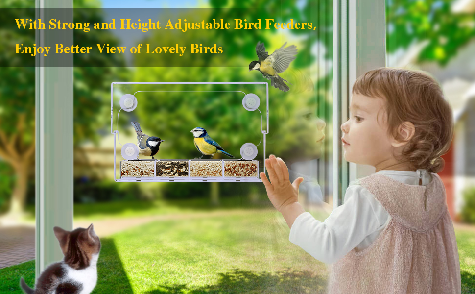 Window Bird Feeder, eWonLife Bird Feeders Outdoors for