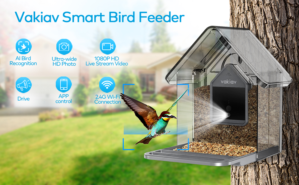Top Birds to Watch with Your Camera Bird Feeder