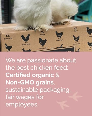 chicken feed chicken food chick feed organic chicken feed chicken food for laying hens duck feed 