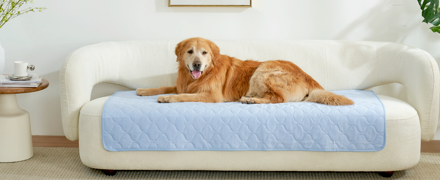 used in sofa