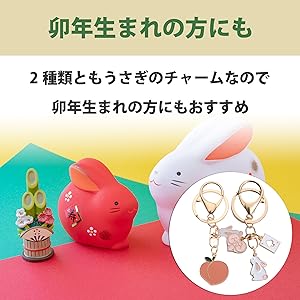 Amazon.co.jp: [Felimoa] キーホルダー うさぎ 桃 ハート 鍵