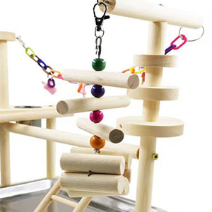parrot toys
