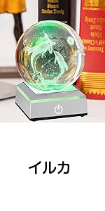 イルカ ギフト