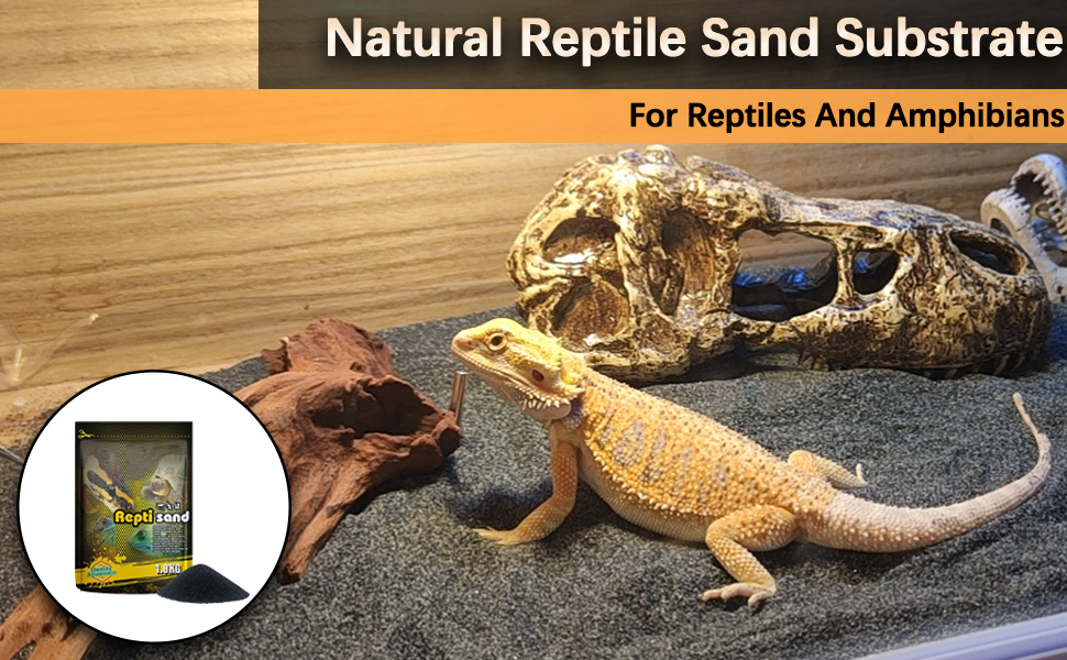 BNOSDM Reptile Terrarium Sand Lizard Substrate and Snake
