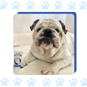 Squishface Wrinkle Paste