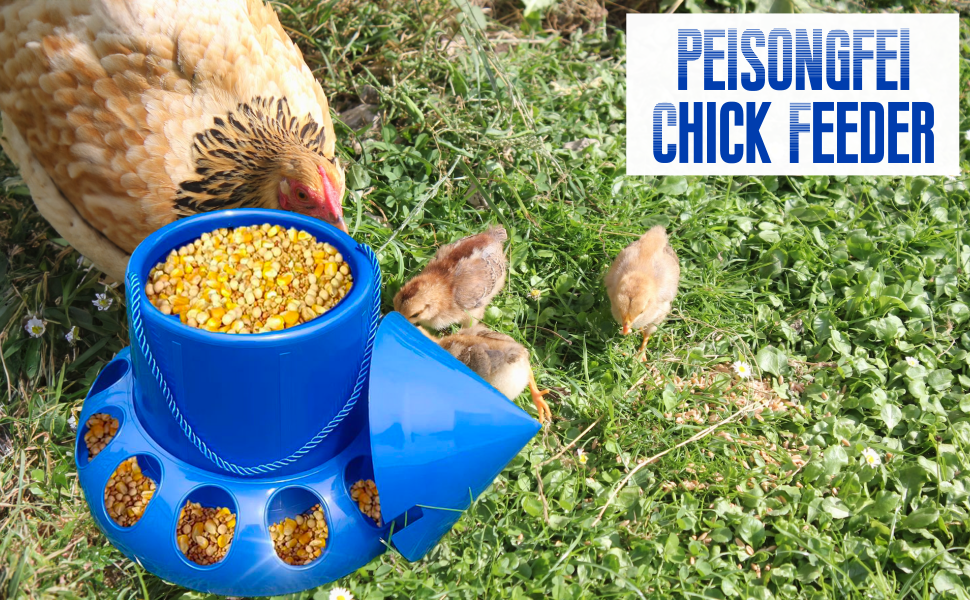 Chick Feeder, Free Range Chicken Vegetable Hanging