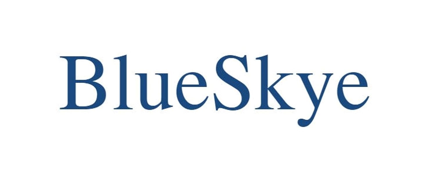 BlueSkye Logo