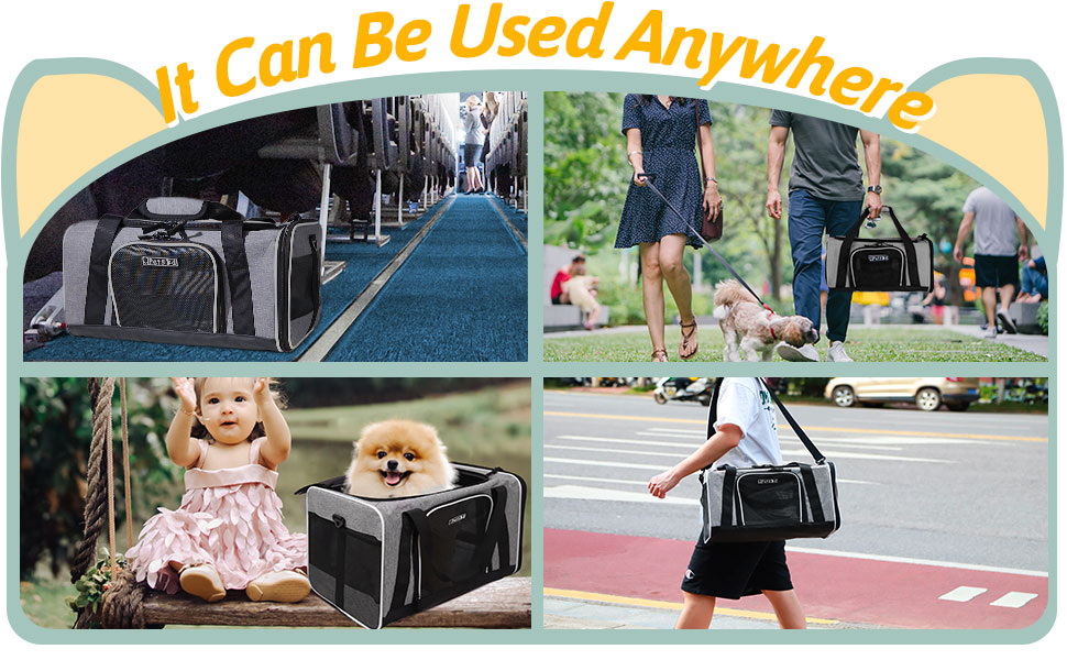 Petskd Pet Carrier 17x11x9 Southwest Alaska Airline