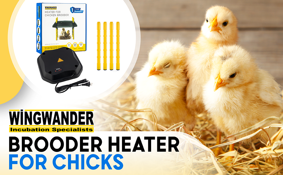 WINGWANDER brooder Heater Plate Chicken Brooder for