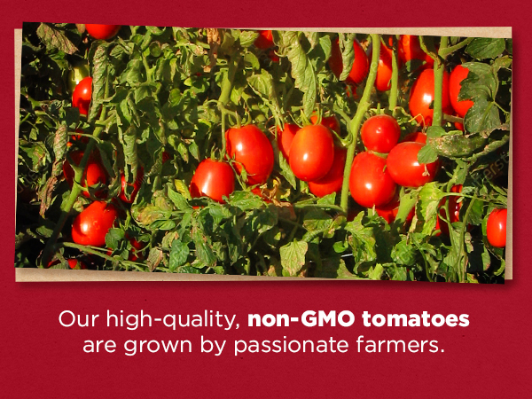tomato H2128 | HeinzSeed | United States | Products - Heinz®