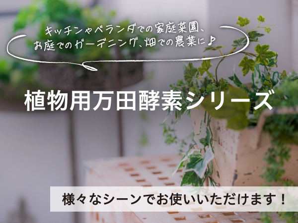 ■【味に自信あり】■10k箱■不知火■家庭用■除草剤使用無 万田酵素散布■ Amazon | SHINSEI シンセイ はや効き 非農耕地用除草剤 MCP入り