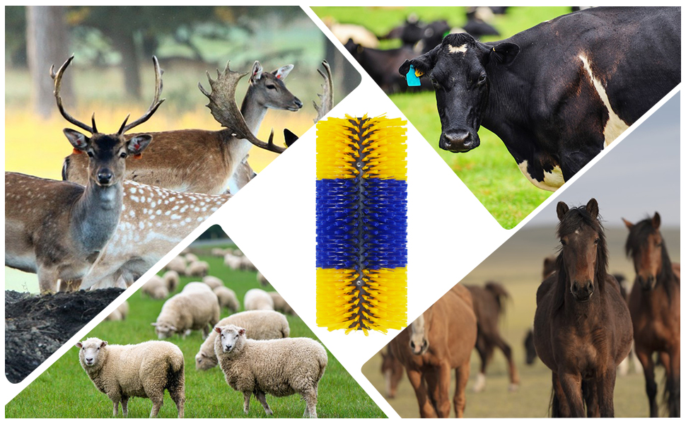 livestock scratch brushes