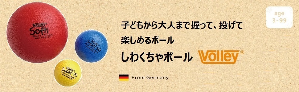 VO ボリー ボール