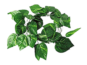 Leopard Gecko Natural Coco Shell Den Reptiles Habitat Durable Hanging Cave