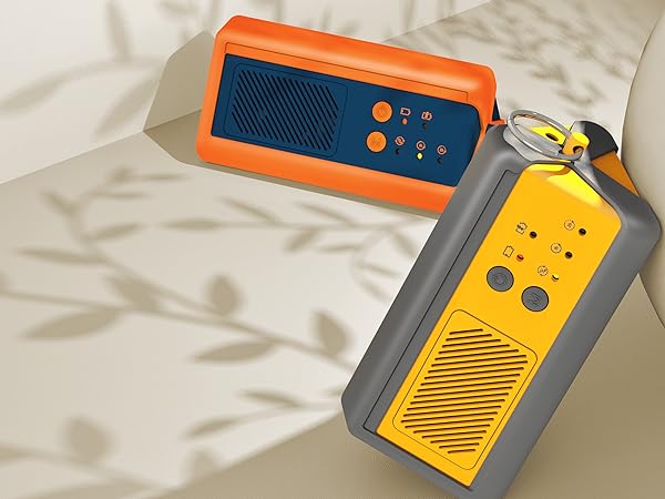 PA1K-GO Ozone Generator