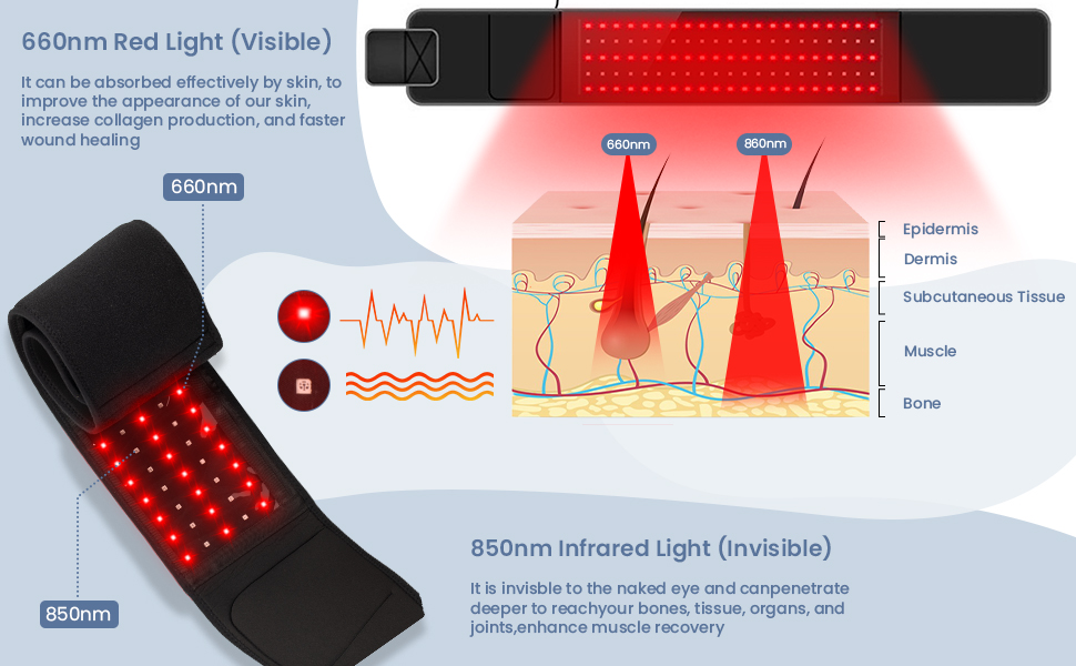 Red Light Therapy Belt