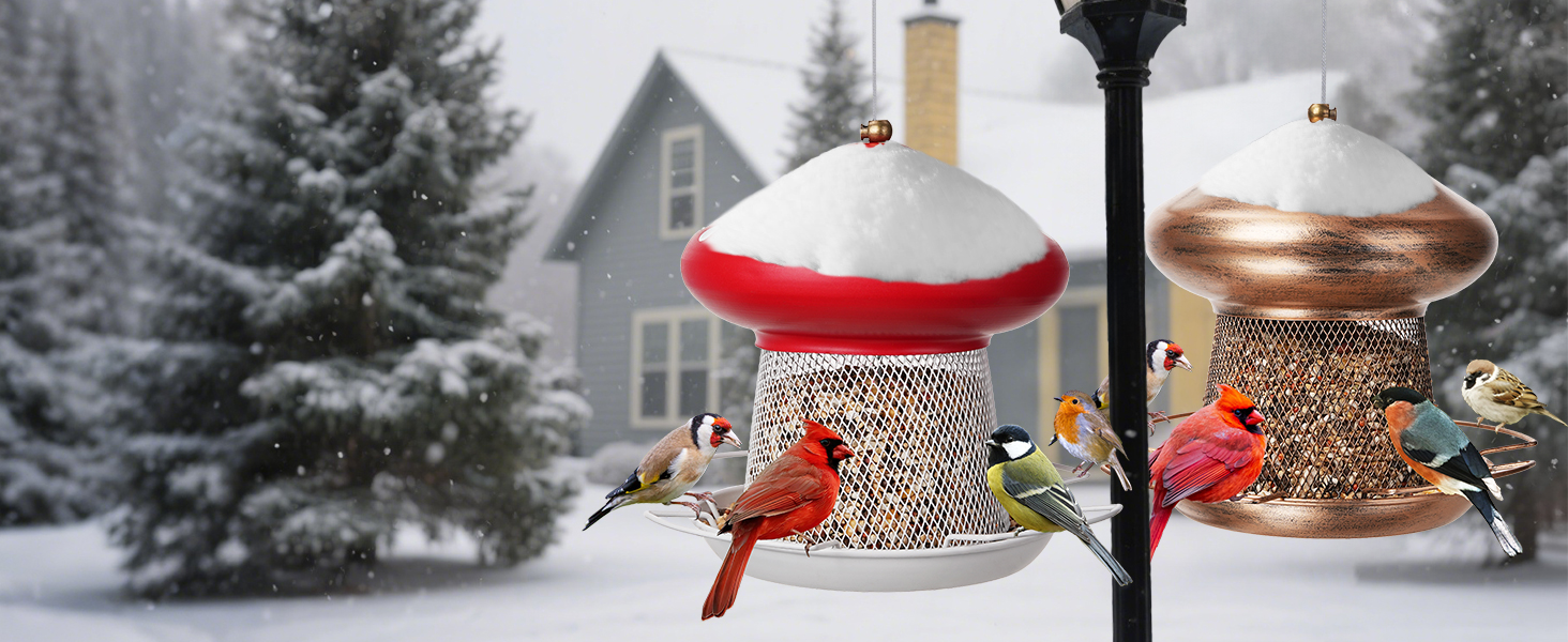 bird feeder