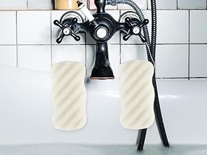 natural sponge