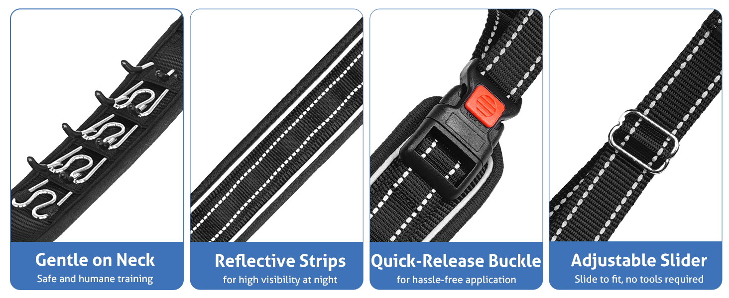 Mayerzon Martingale No Pull Dog Collar for Medium Large