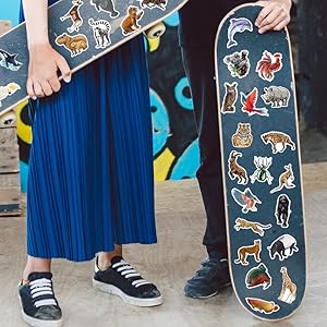 Stickers for Skateboard