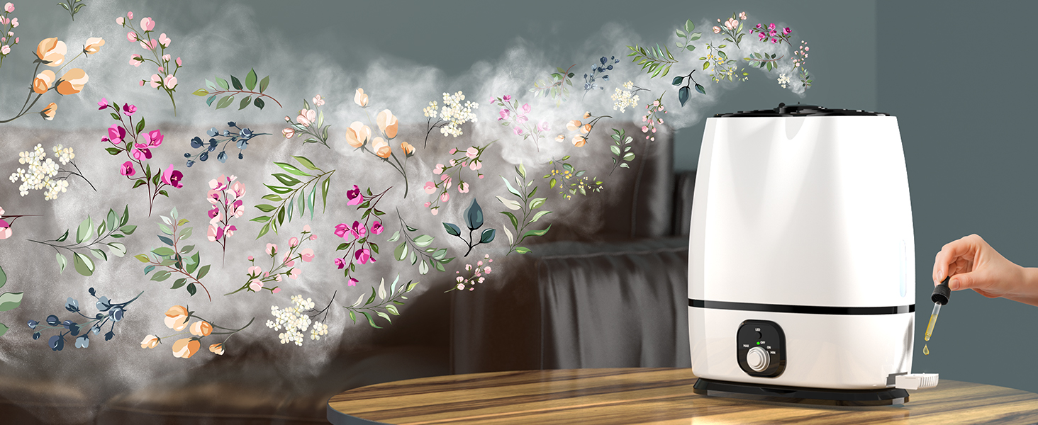 Everlasting Comfort's Cool Mist Humidifiers for Bedroom 6L