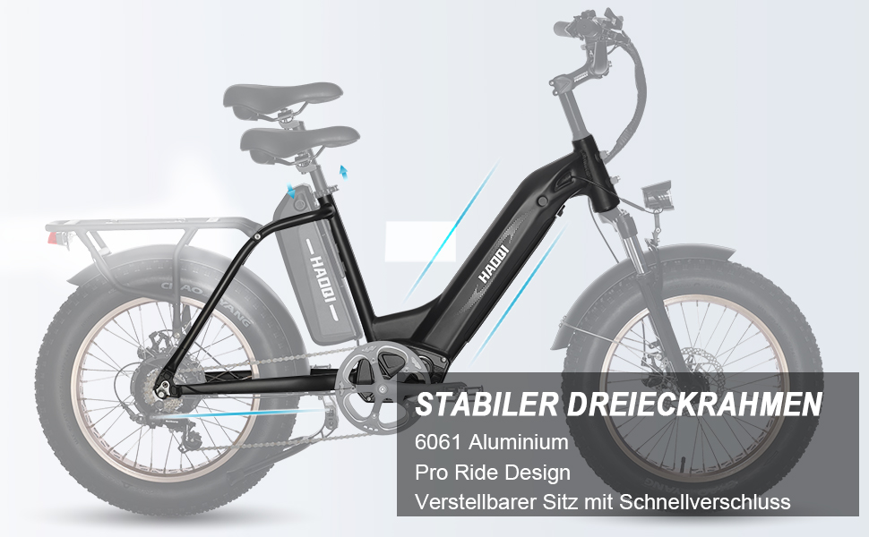 ebike 9