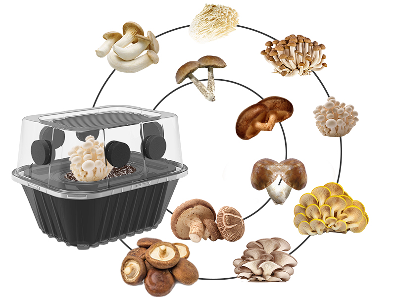 YANWEN Mushroom Growing Kit, Monotub Stackable Grow Box