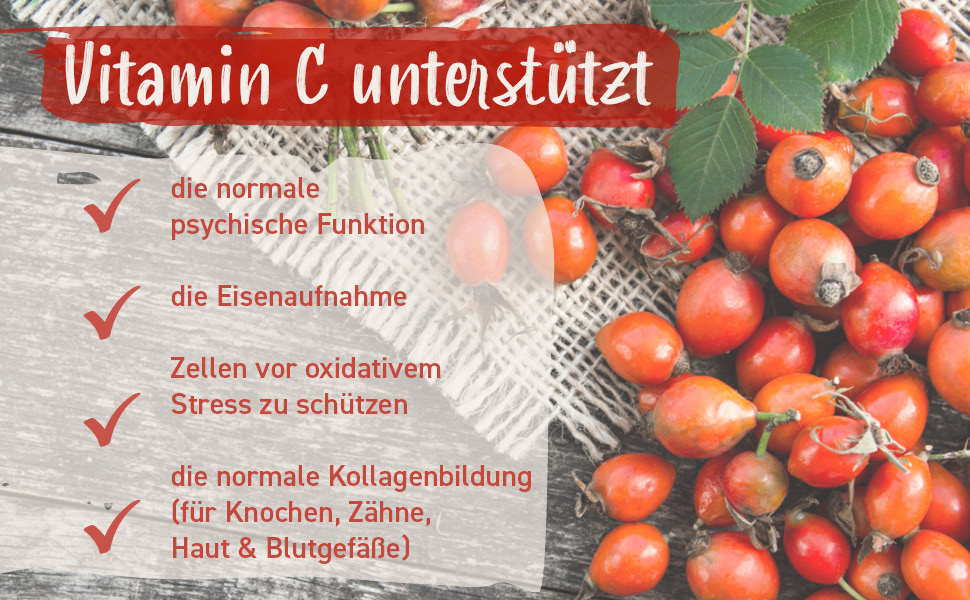 NaturaForte Bio Hagebutten Pulver