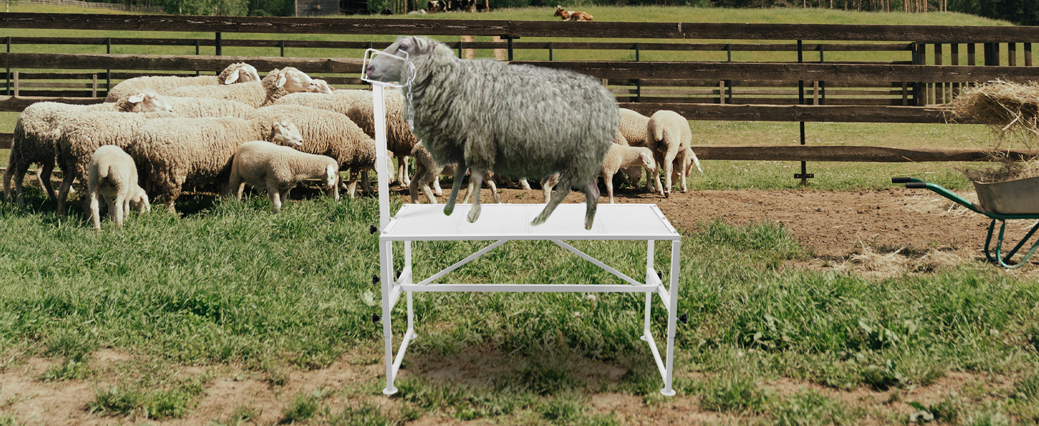 HECASA Livestock Stand 51x23 inches Trimming Stand with